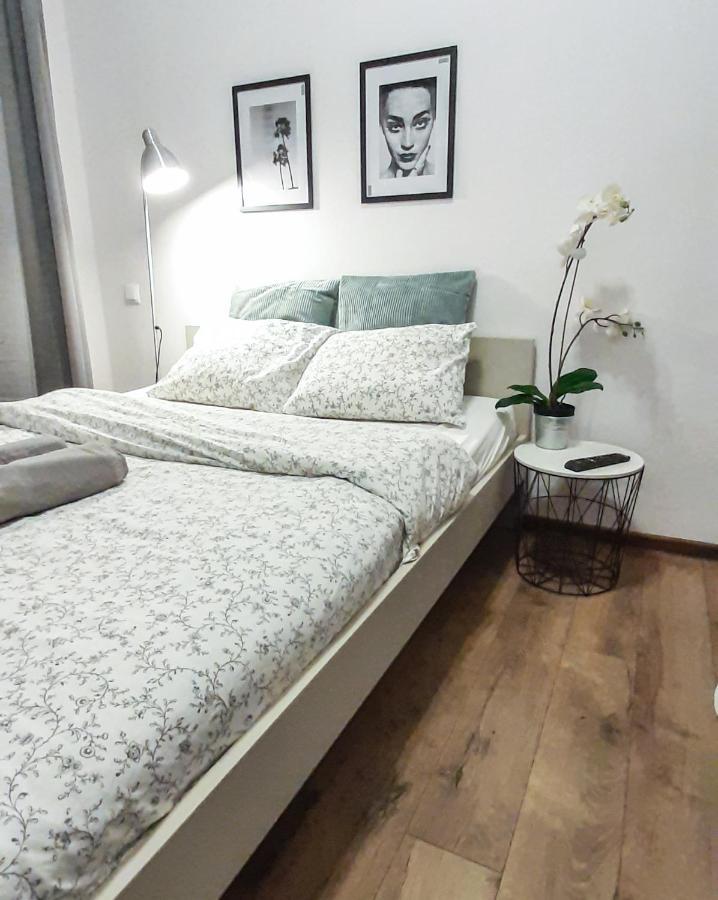 Apartment Lion - Laba Krakau